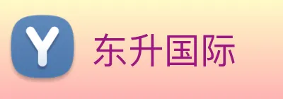 东升国际 logo